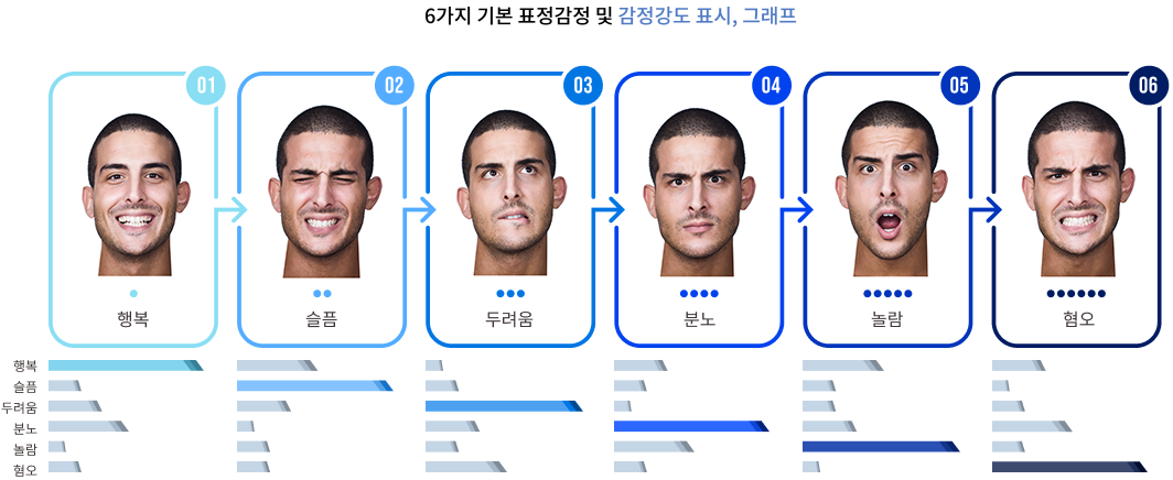 6가지 기본 표정감정 및 감정강도 표시,그래프