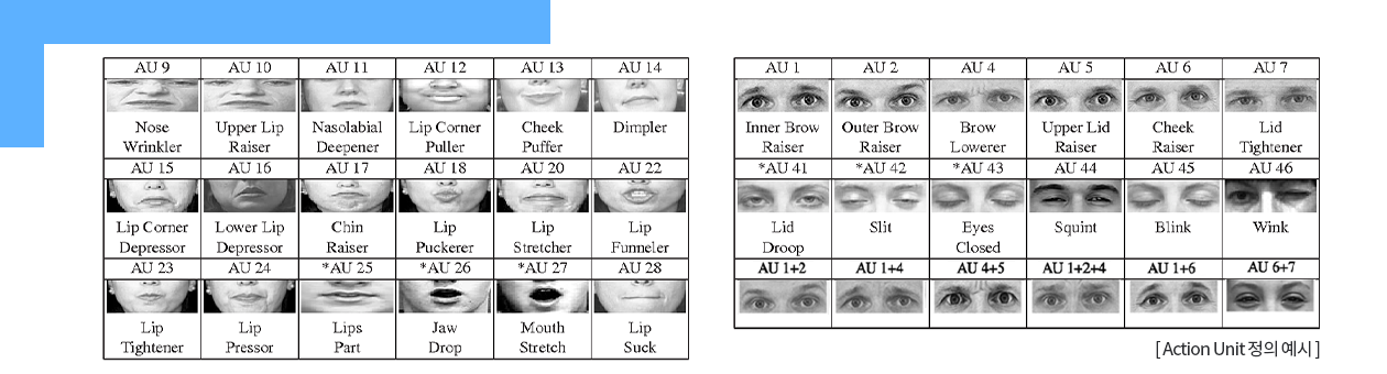 action unit정의 예시